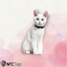 PET RECORD: NFC & QR Smart Tag for Pets | Location Tracking | Owner Contact | Waterproof | Free Web Reg.