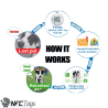 Find Lost Pets Instantly!  PetDwelling Smart ID Tag in Dubai, UAE