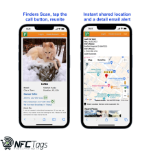 Find Lost Pets Instantly!  PetDwelling Smart ID Tag in Dubai, UAE
