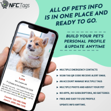 MyLuckyTag NFC Smart Pet Tag with NFC & QR Code in Dubai, UAE